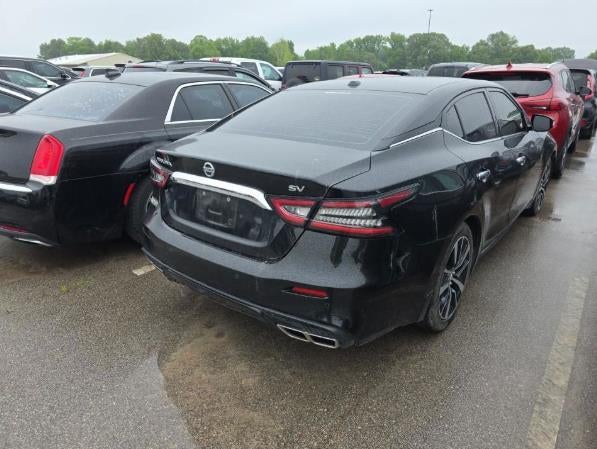 2022 Nissan Maxima SV