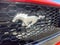 2024 Ford Mustang GT Premium, BEMBRO BRAKES, ACTIVE VALVE