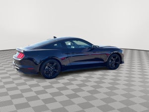 2023 Ford Mustang EcoBoost, NITE PONY PKG, 10-SPEED AUTO