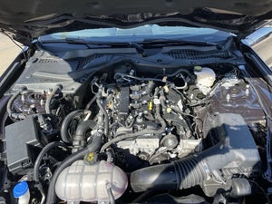 2023 Ford Mustang EcoBoost, NITE PONY PKG, SECURITY PKG