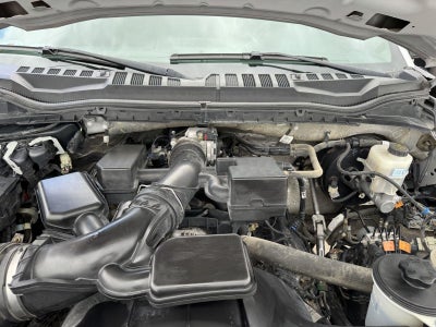 2020 Ford Super Duty F-250 SRW XL