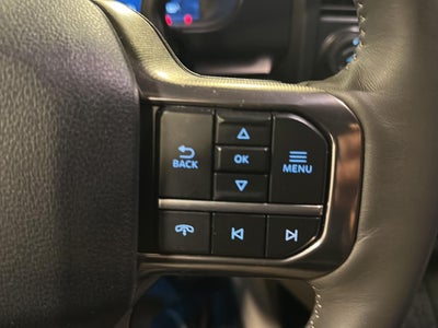 2025 Ford Super Duty F-450 DRW Platinum