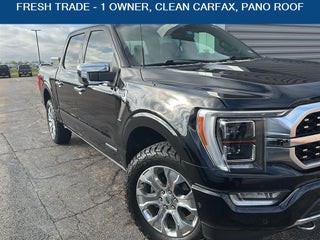 2021 Ford F-150 Platinum