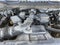 2020 Ford Super Duty F-250 SRW XL