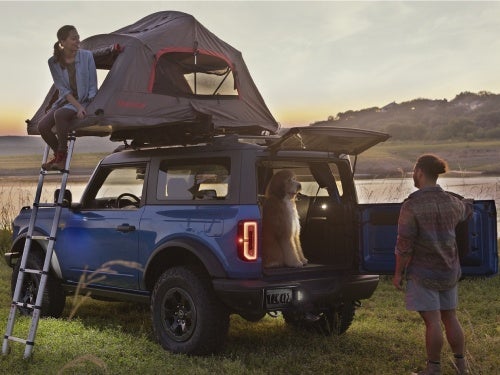2024 Ford Bronco parked at a campsite with the back door open and a dog in the back cargo area